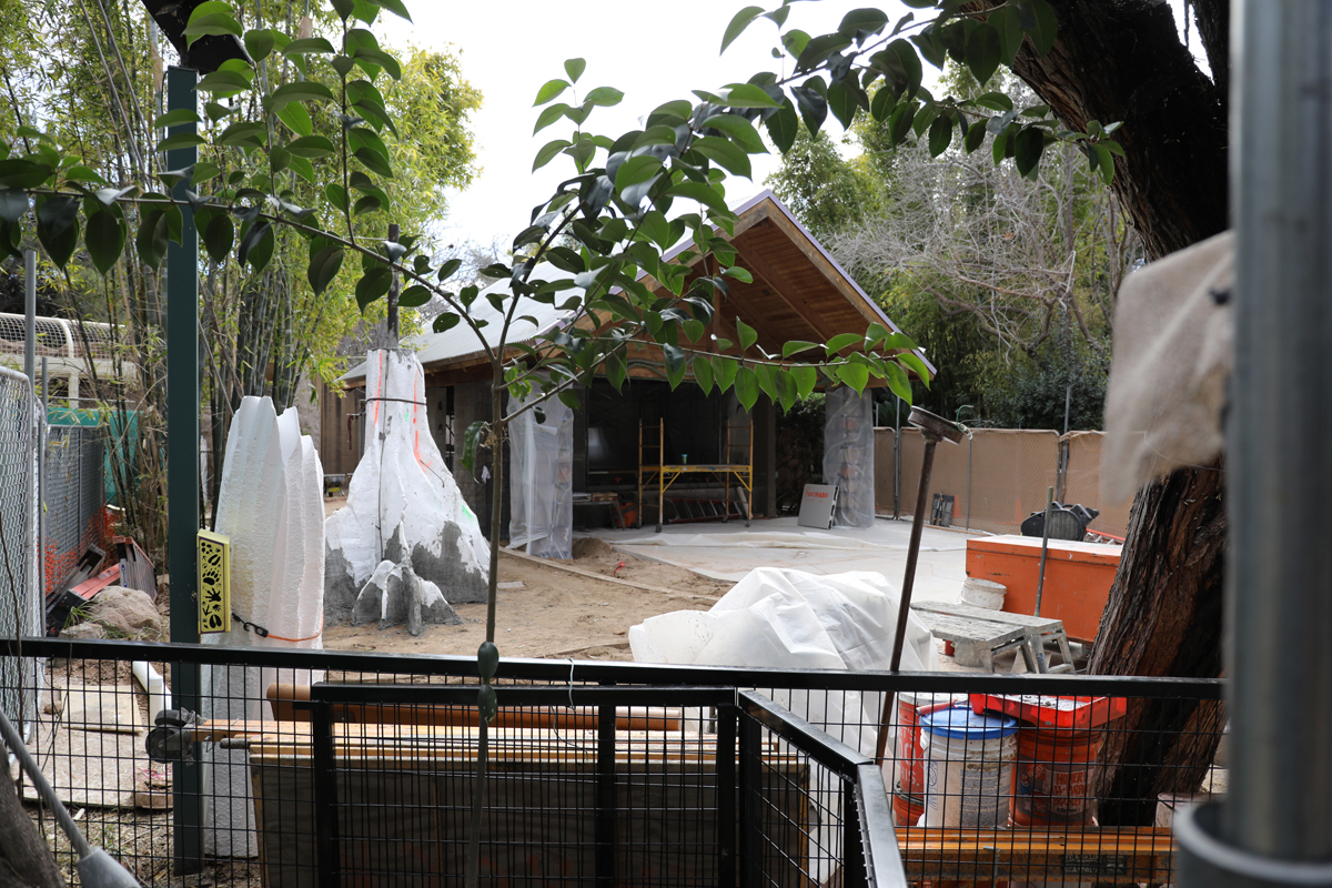 Future squirrel monkey exhibit