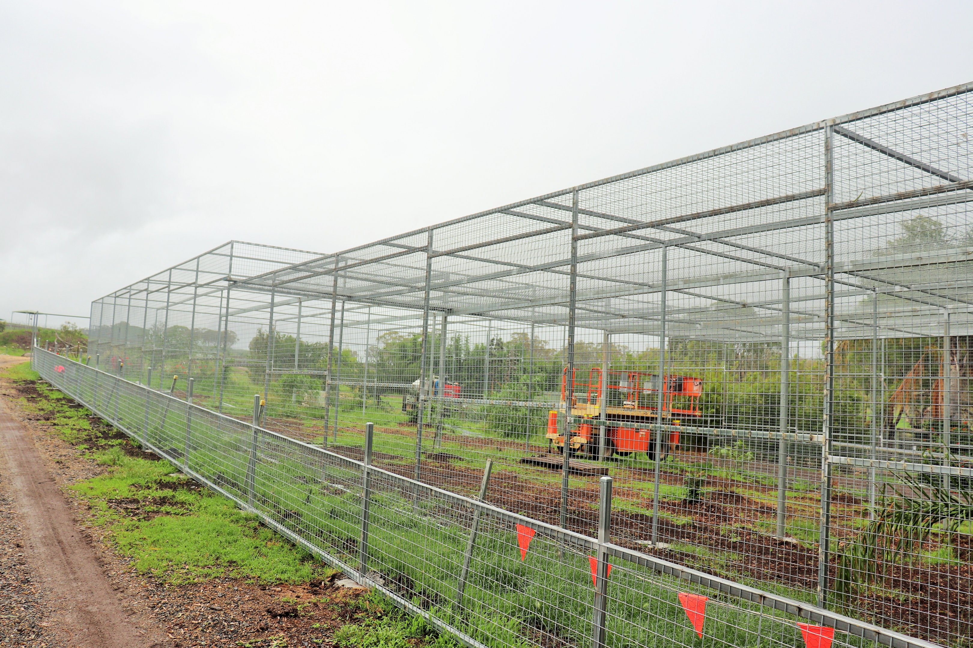 Future Sri Lankan Leopard Enclosure