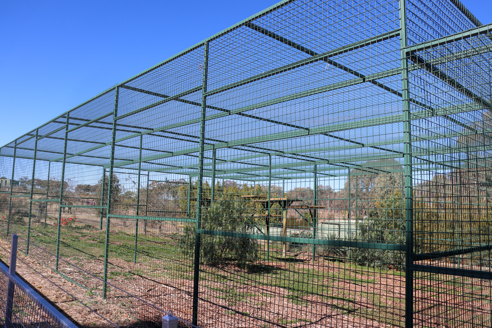 Future Sri Lankan Leopard Enclosure