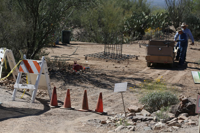future stingray exhibit