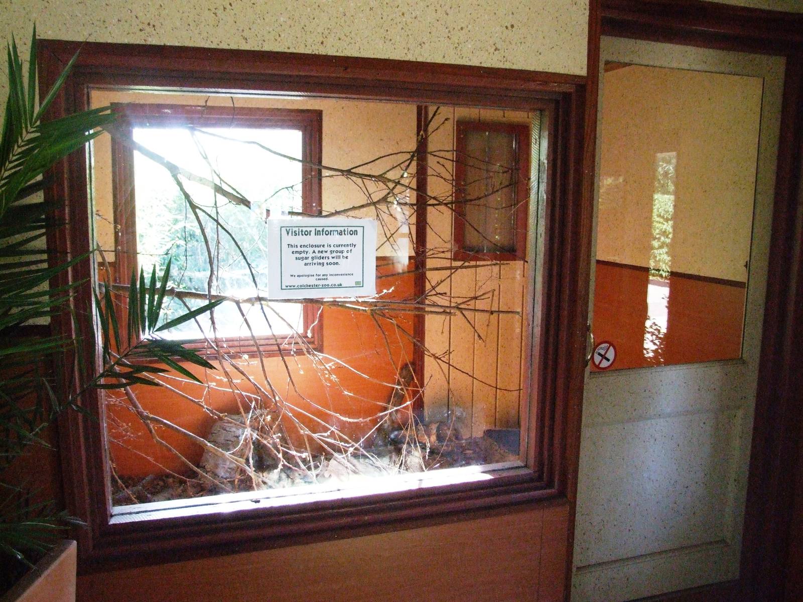 Future Sugar Glider Enclosure at Colchester, 31/08/13