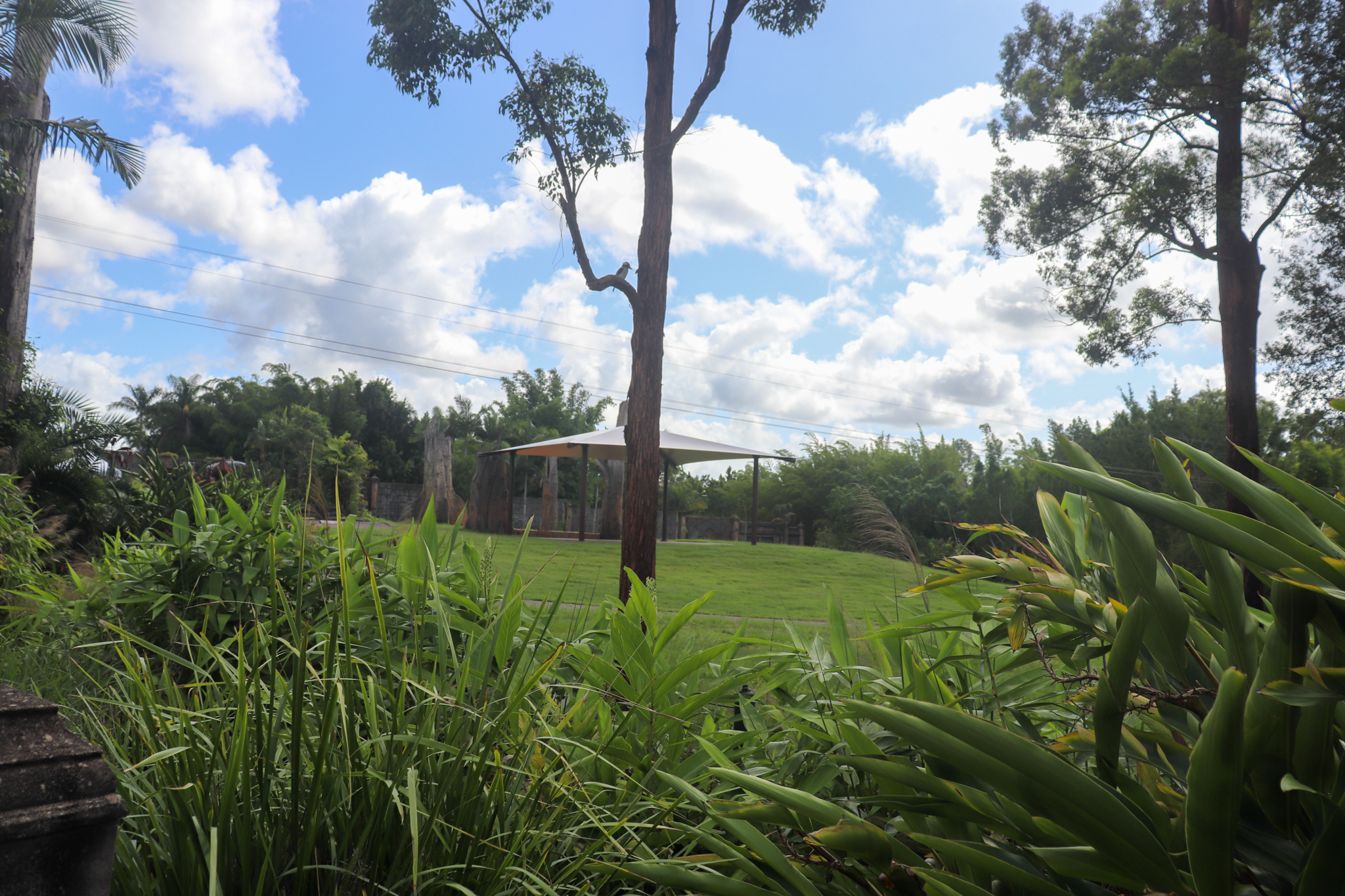 Future Sumatran Elephant Enclosure