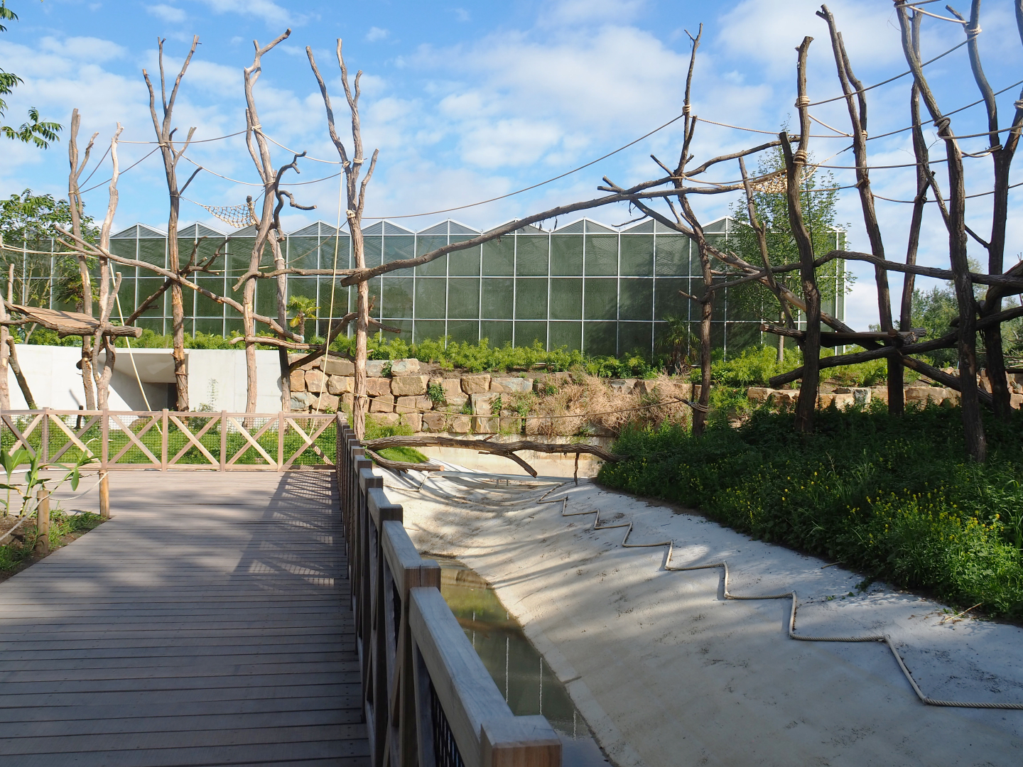 Future Sumatran orangutan and/or Northern white-cheeked gibbon islands, 2022-07-03