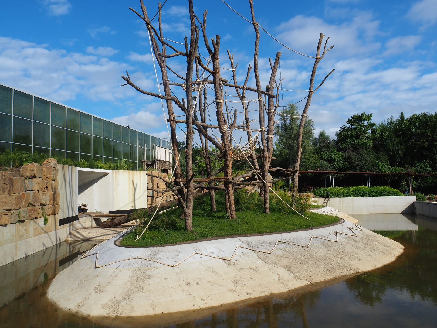 Future Sumatran orangutan island, 2022-07-03