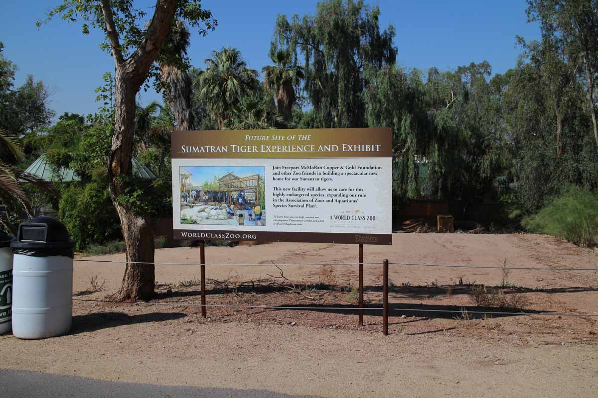 future sumatran tiger exhibit