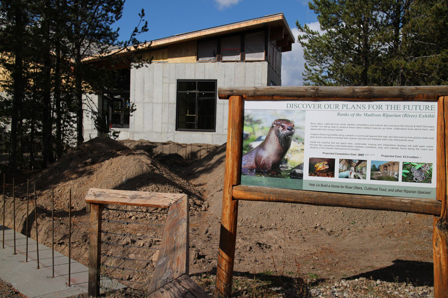 future (summer 2019) riparian exhibit