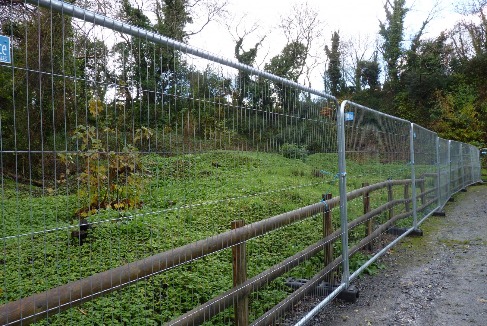 Future Takin enclosure, November 2016