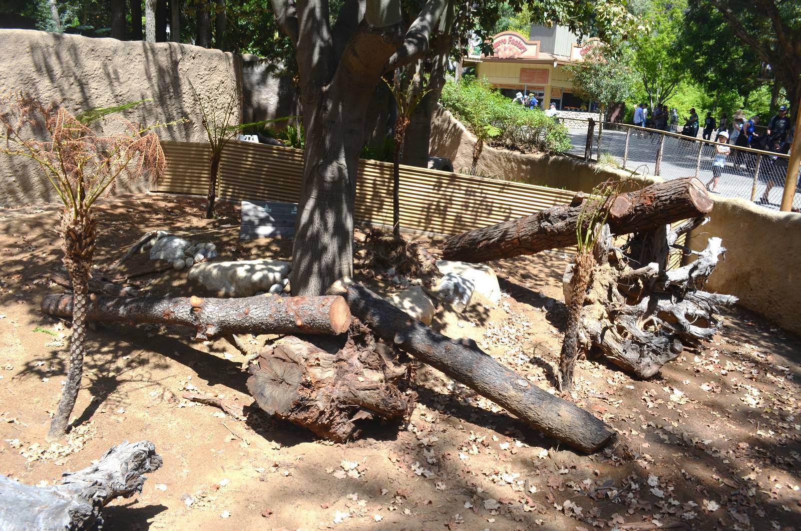 Future Tasmanian Devil Yards