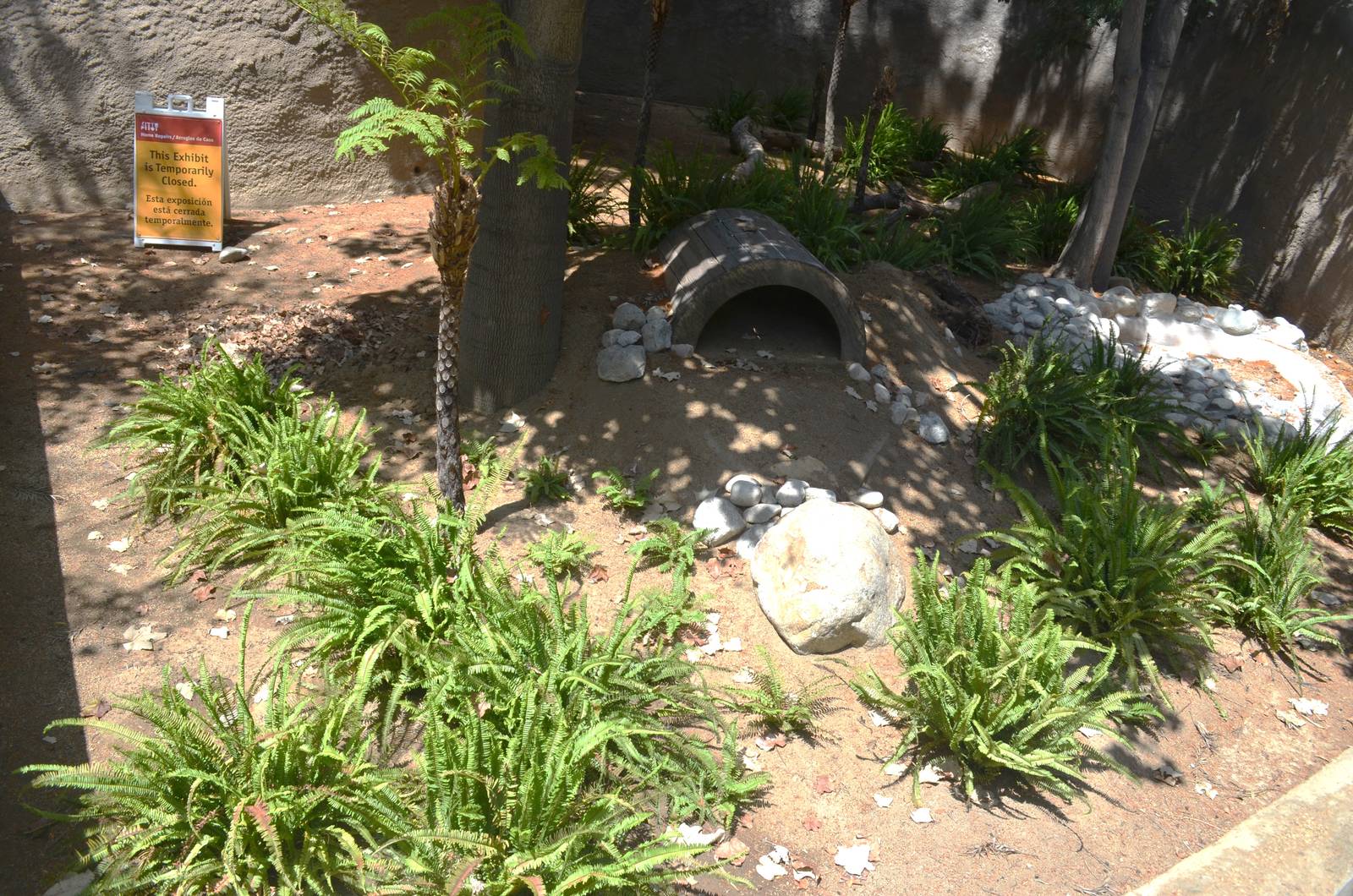 Future Tasmanian Devil Yards