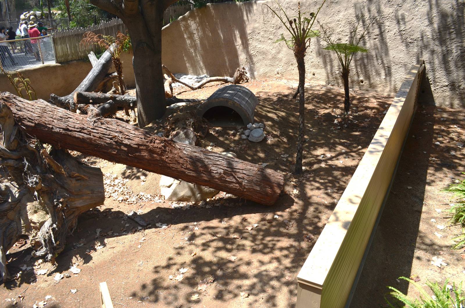 Future Tasmanian Devil Yards