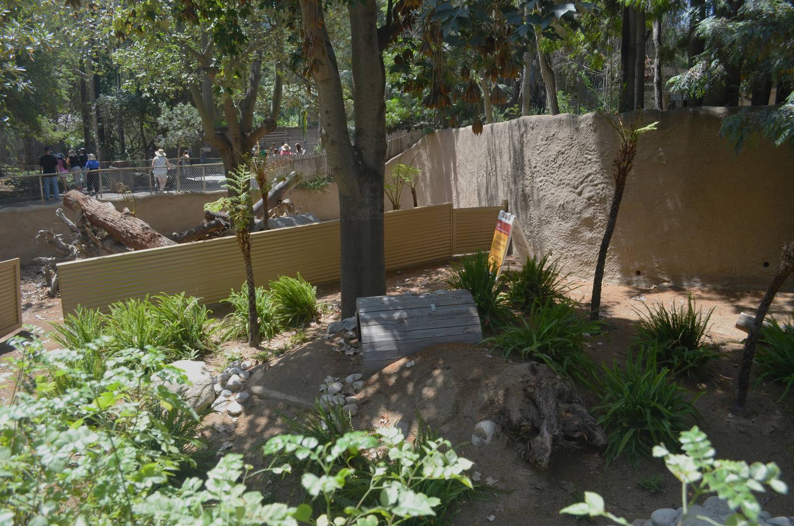 Future Tasmanian Devil Yards