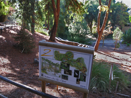 future tiger exhibit