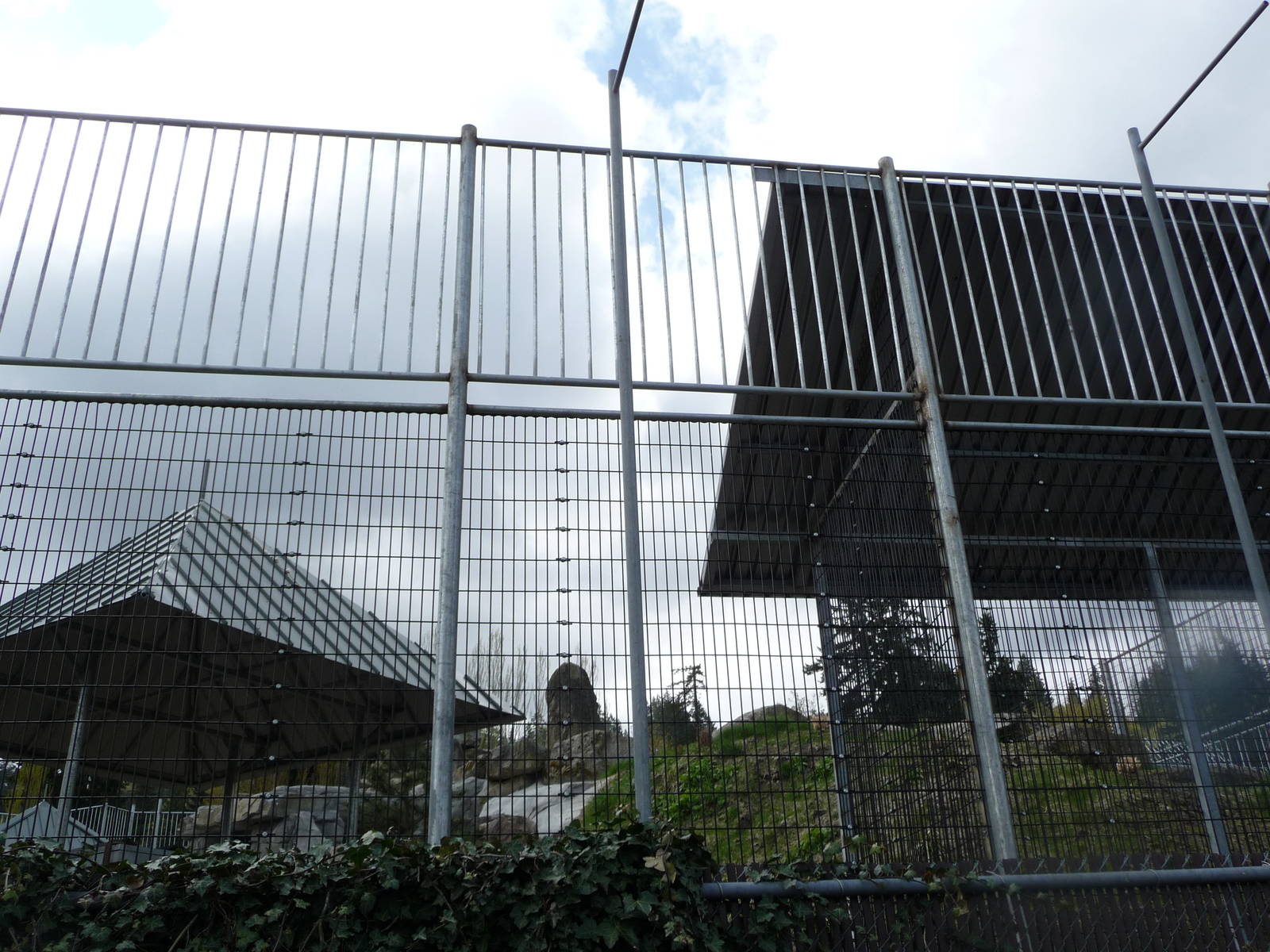 Future Tiger Exhibit