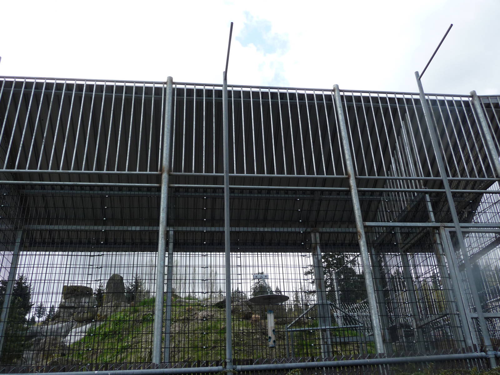 Future Tiger Exhibit