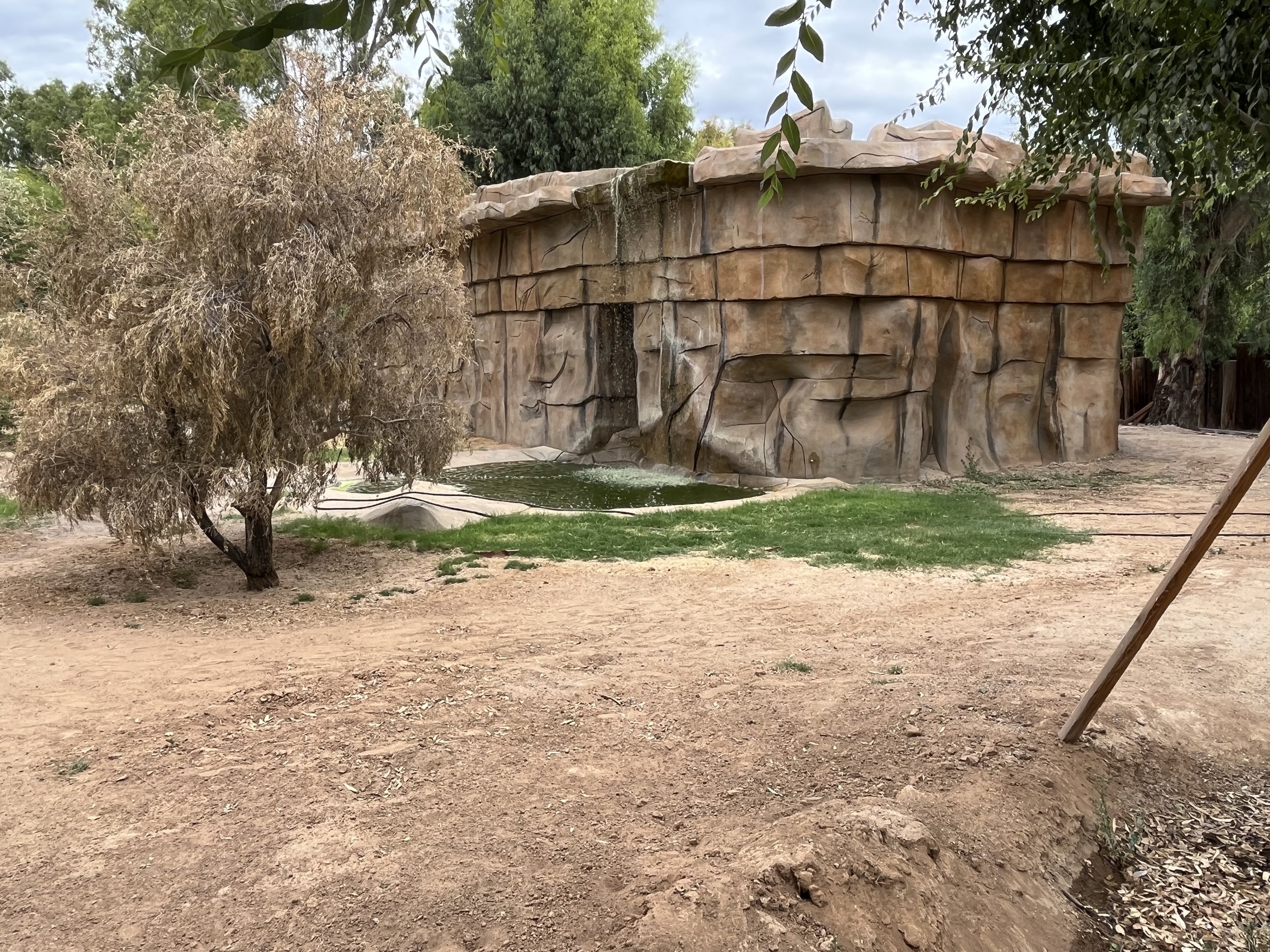 Future Tiger Exhibit