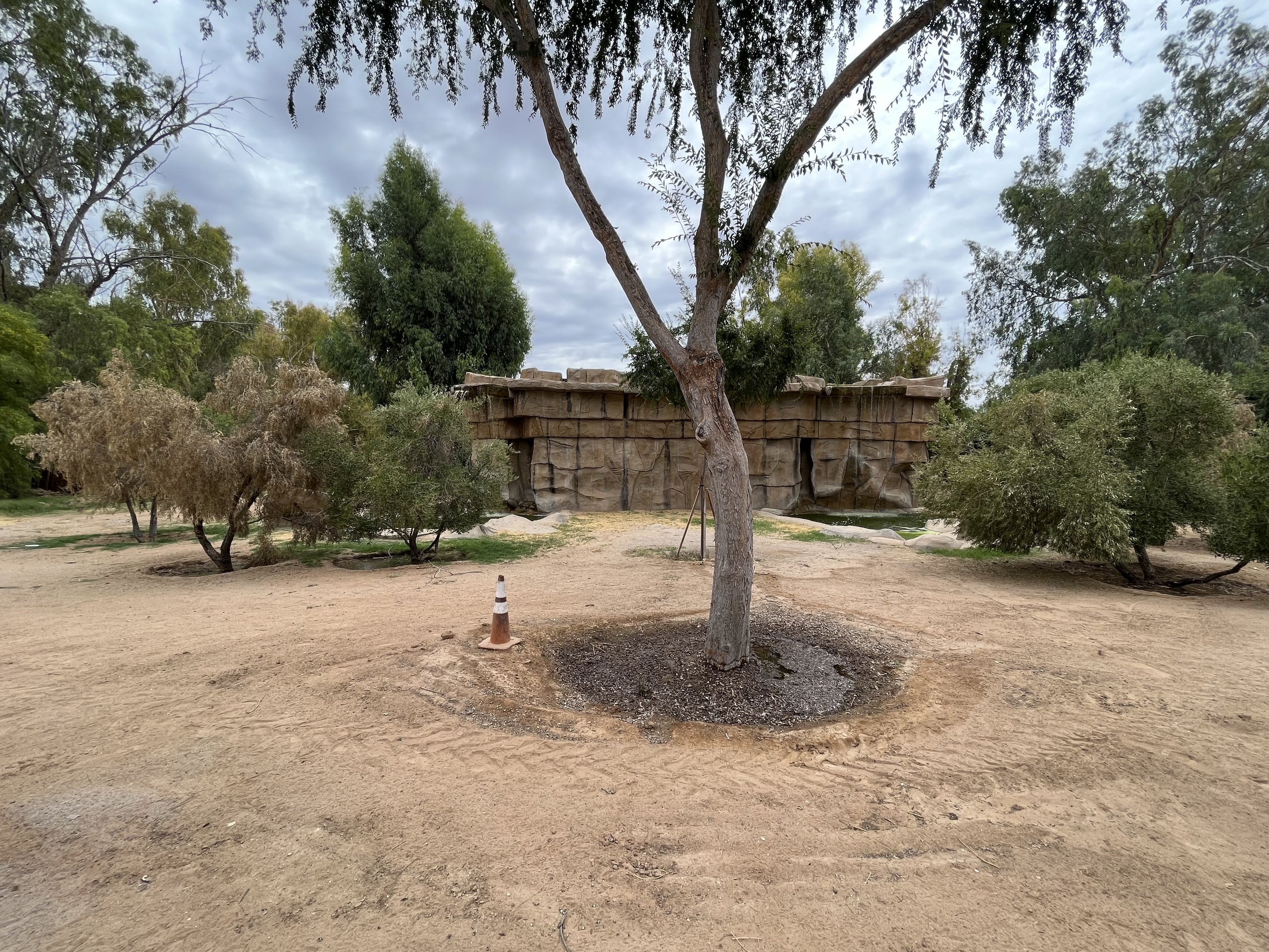 Future Tiger Exhibit