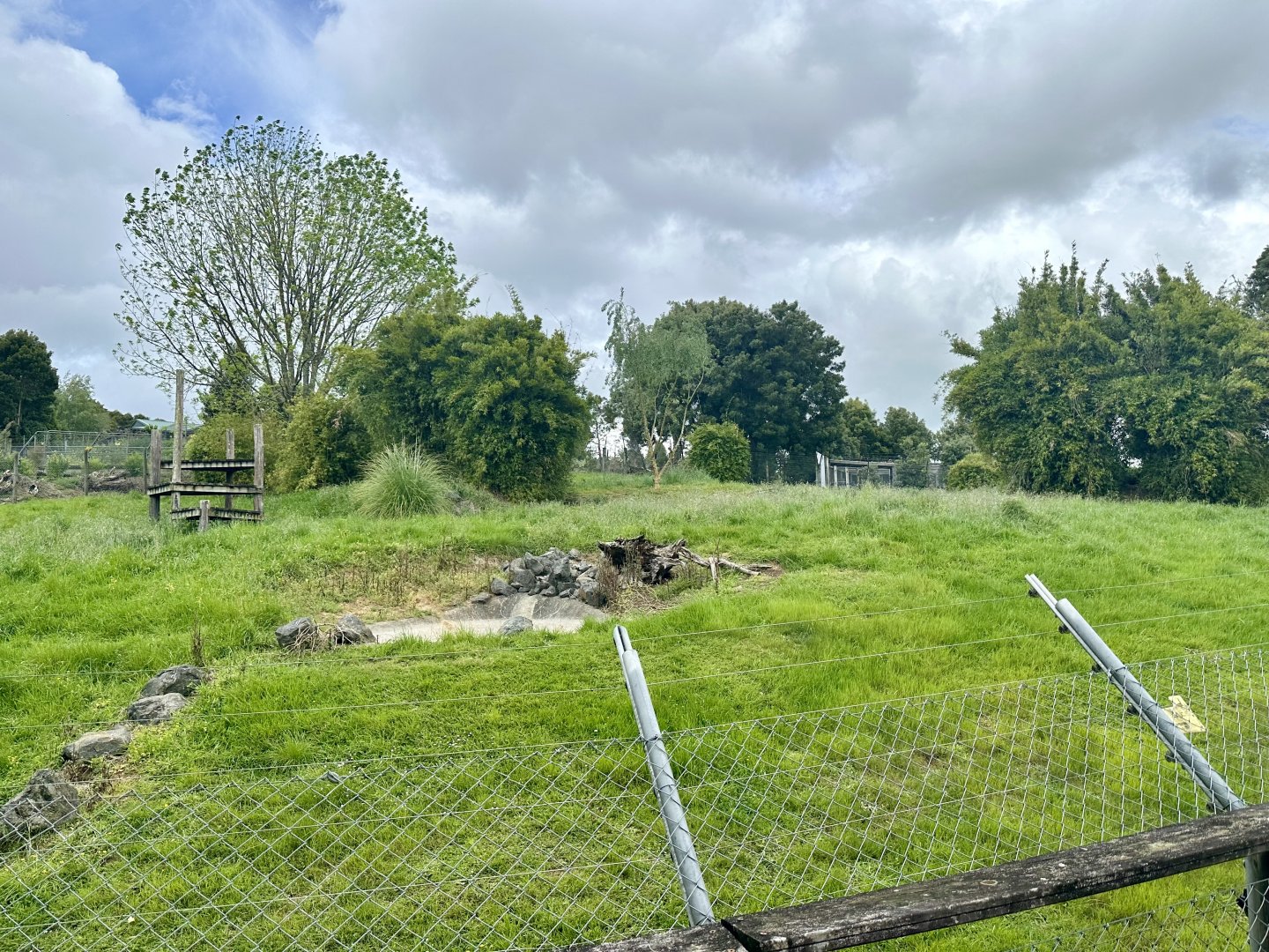 Future Tiger Exhibit