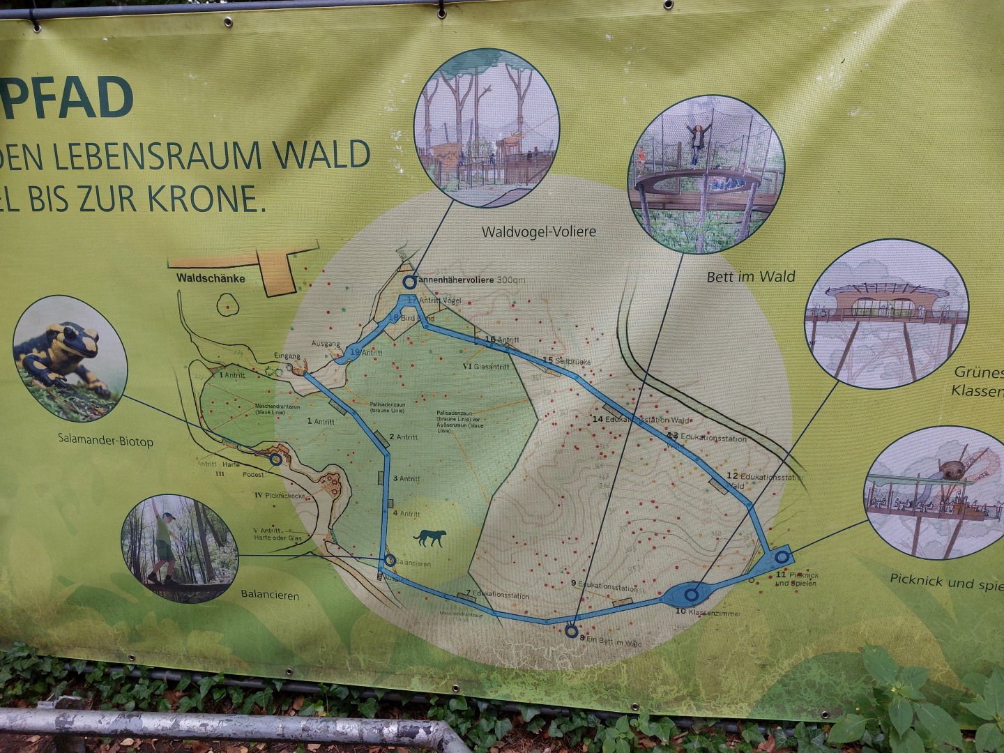 Future tree tops walk