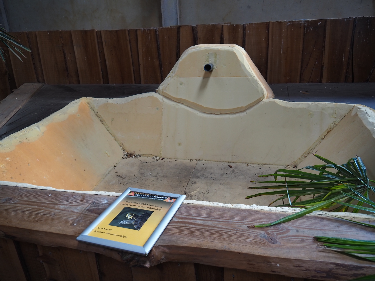 Future turtle exhibit