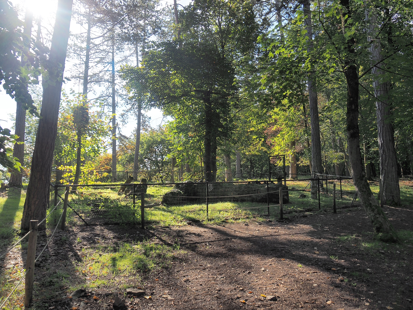 Future Ural owl aviary, formerly home to Eurasian great grey owls, 2023-09-26