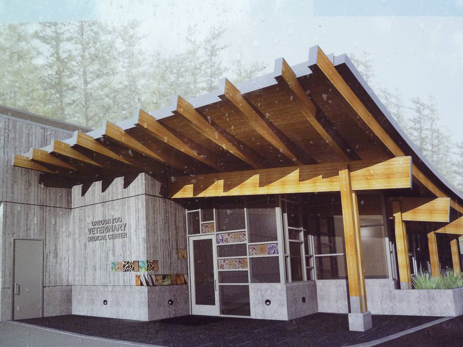 Future Veterinary Hospital - Drawing