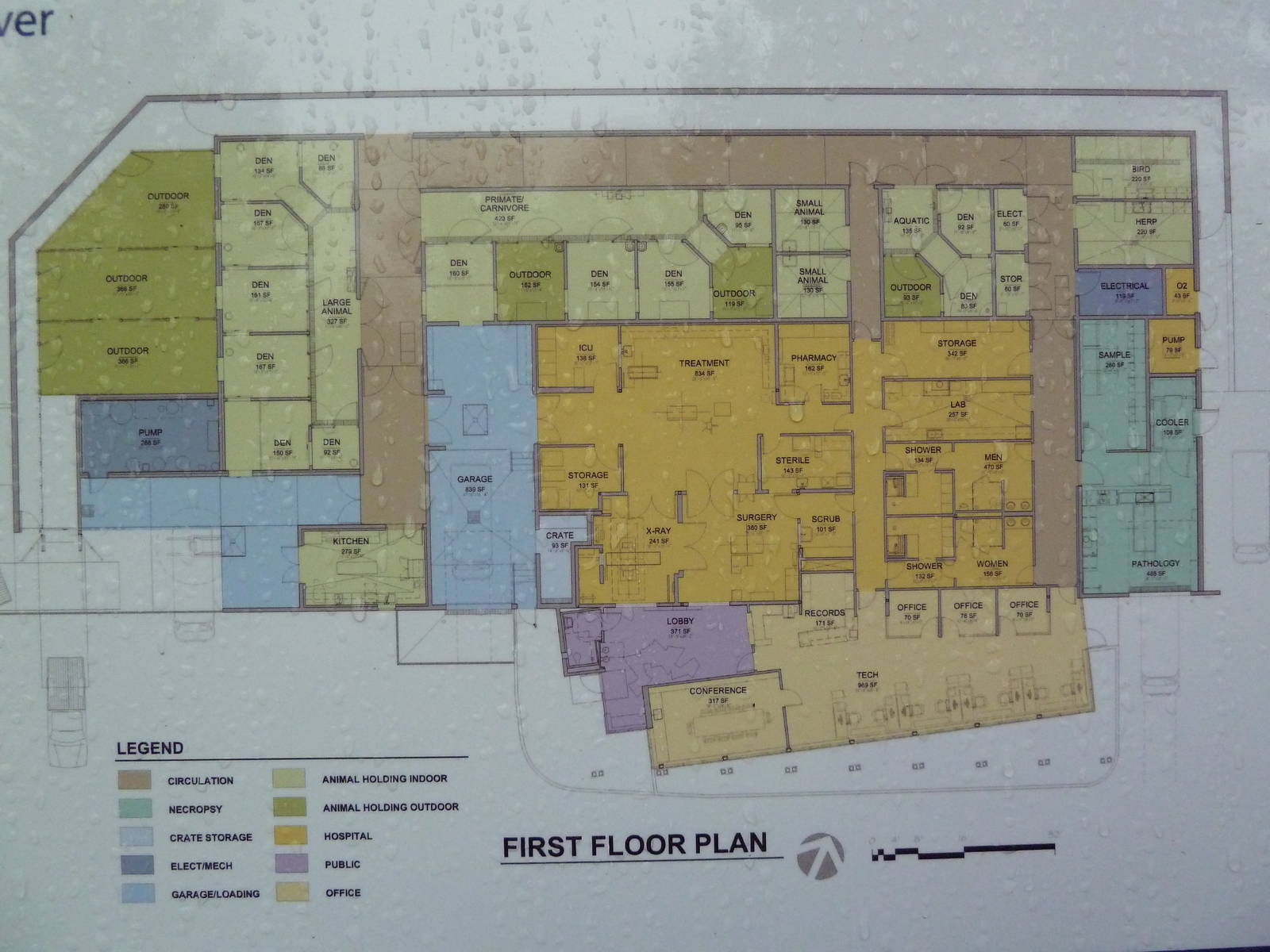 Future Veterinary Hospital - Floor Plan