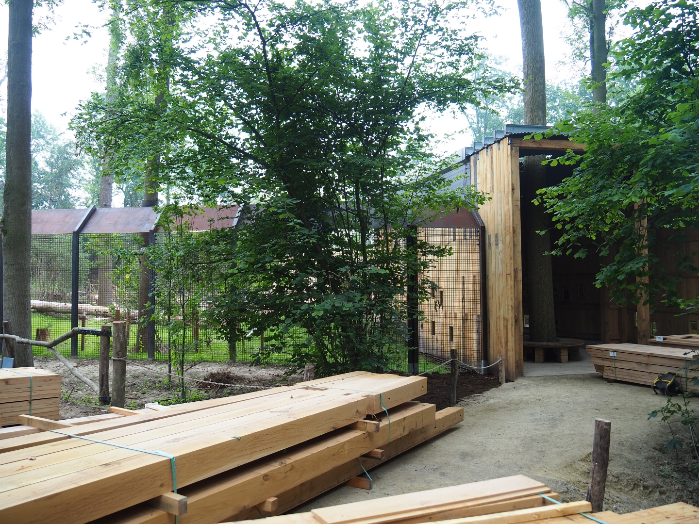 Future viewing and education area for the new Barbary macaque exhibit, 2019-06-26