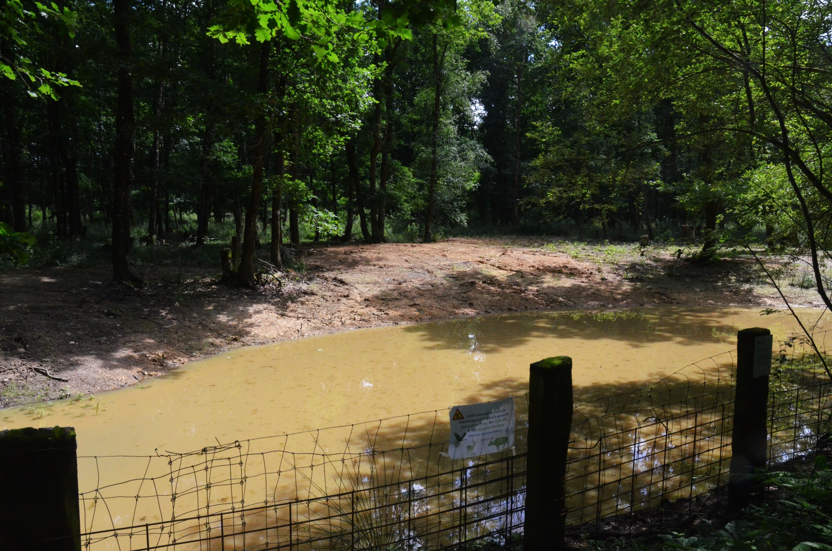 Future Water Buffalo, Axis Deer and White Stork Enclosure at Pescheray, 13/06/18