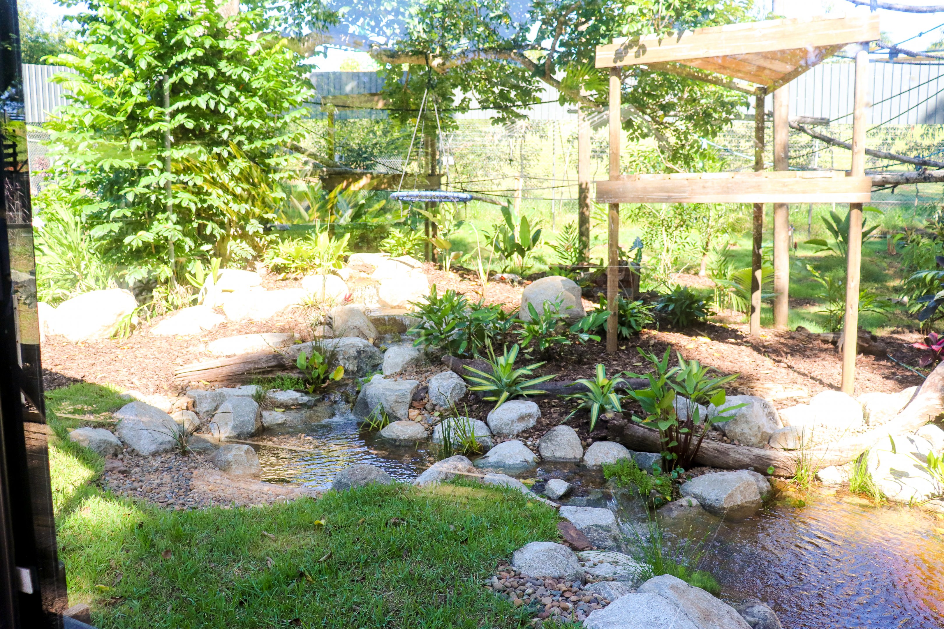 Future White-cheeked Gibbon Enclosure - Water Feature