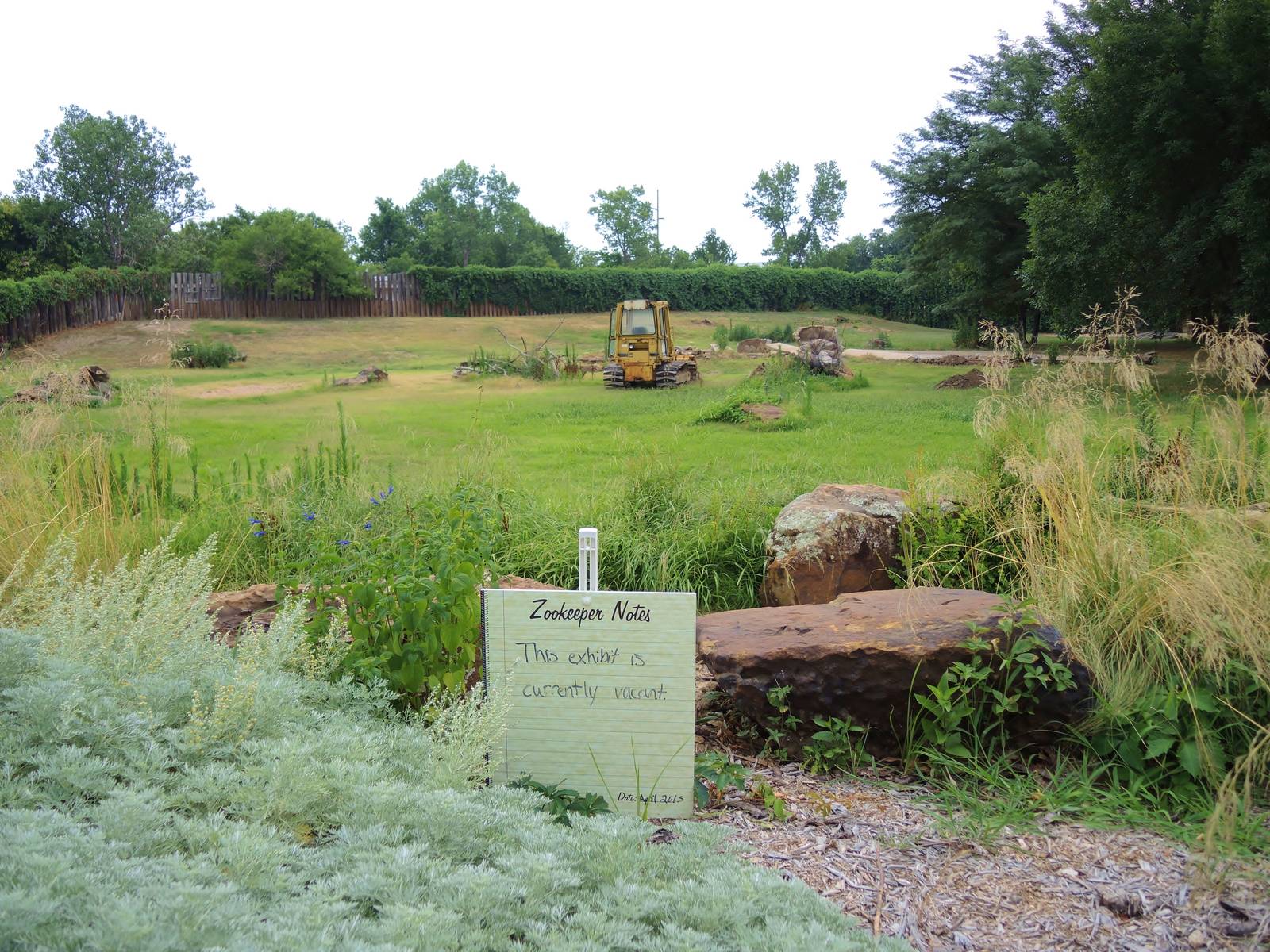 Future White rhino (Ceratotherium simum) exhibit area