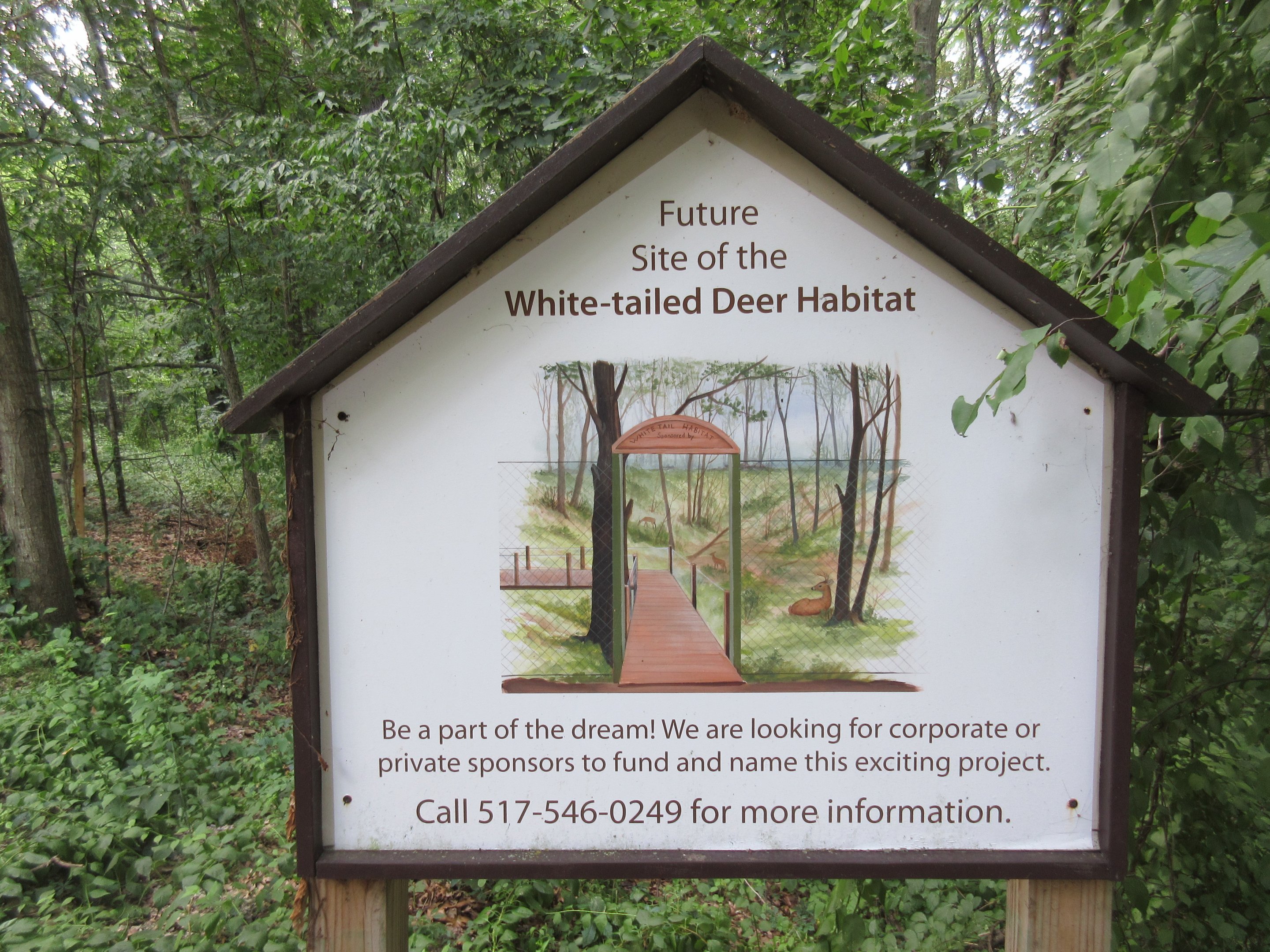 Future White-tailed Deer Exhibit