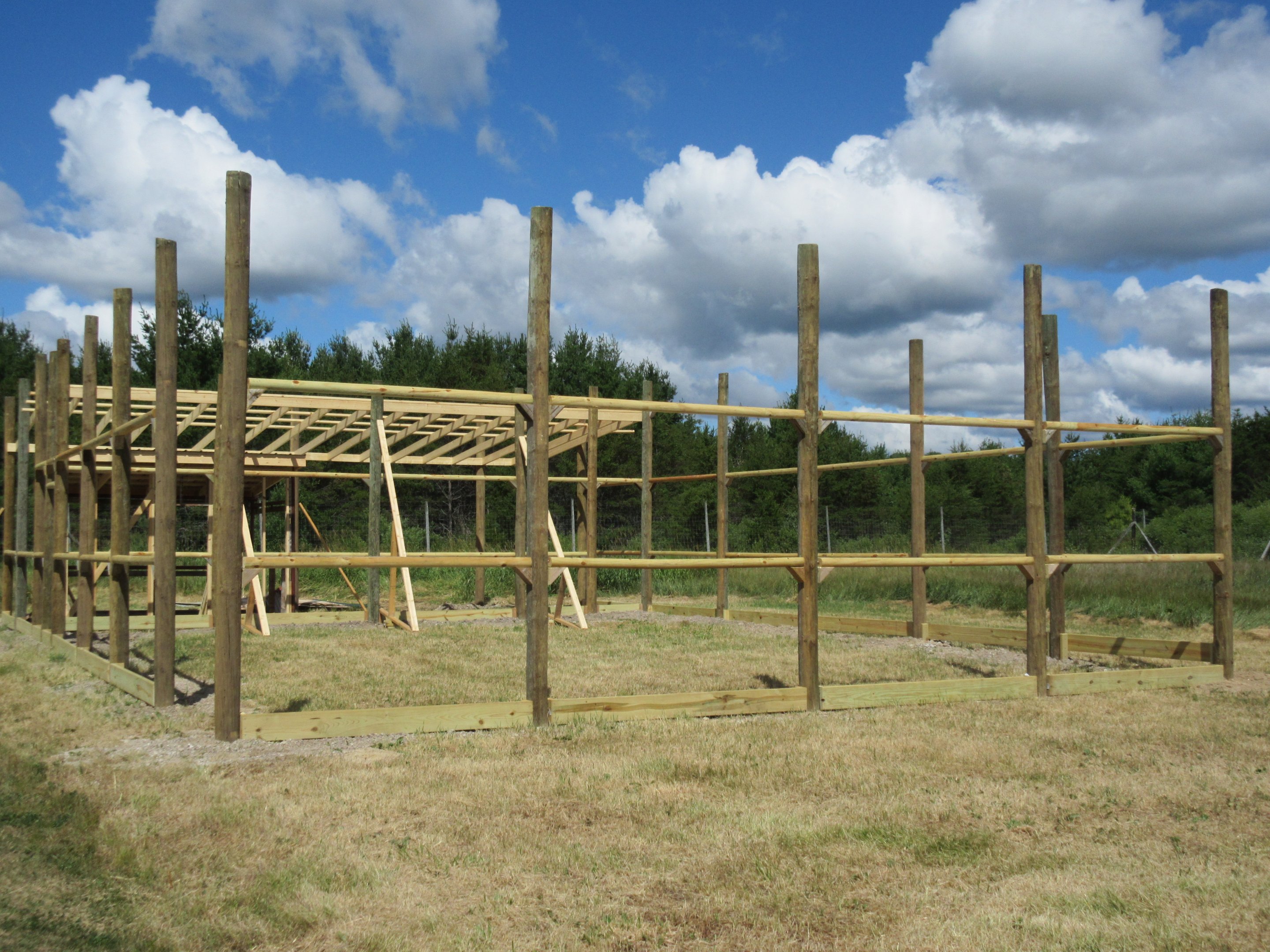 Future White Tiger Exhibit
