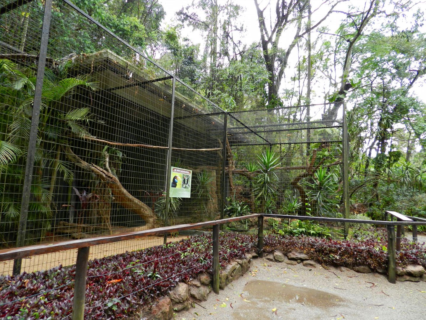 Future wreathed hornbill exhibit - Zooparque Itatiba