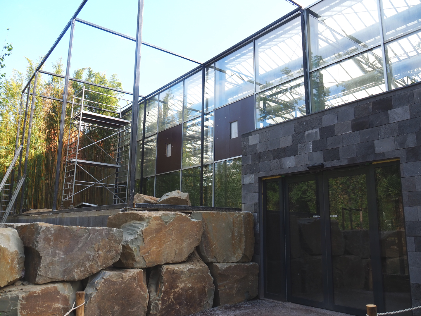 Future Wrinkled hornbill, Sclater's crowned pigeon and Common hill myna outdoor aviary, 2022-07-03