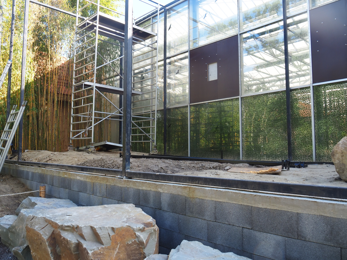 Future Wrinkled hornbill, Sclater's crowned pigeon and Common hill myna outdoor aviary, 2022-07-03