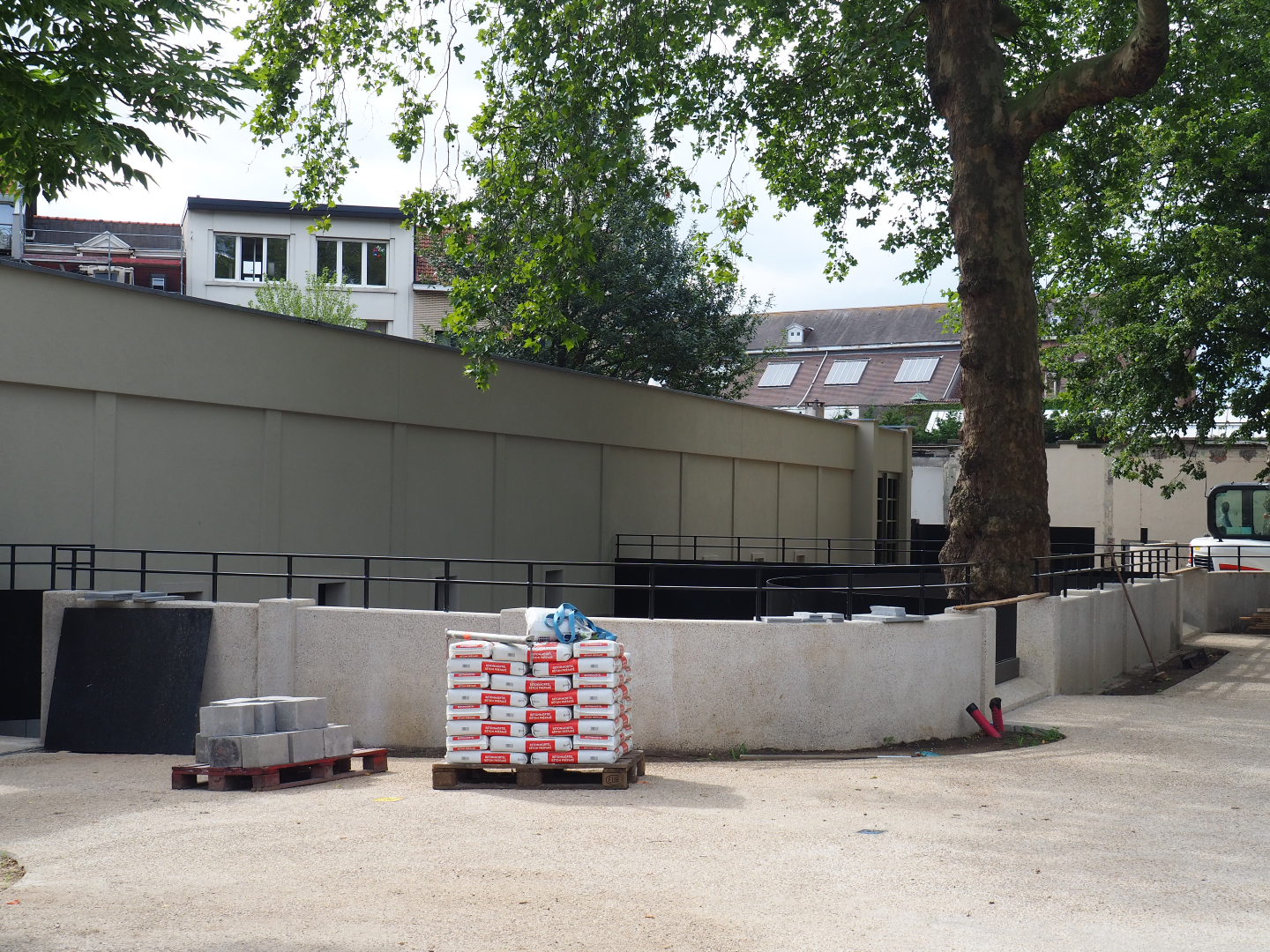 Future Yellow mongoose and Kirk's dik-dik (?) exhibits, 2020-06-28