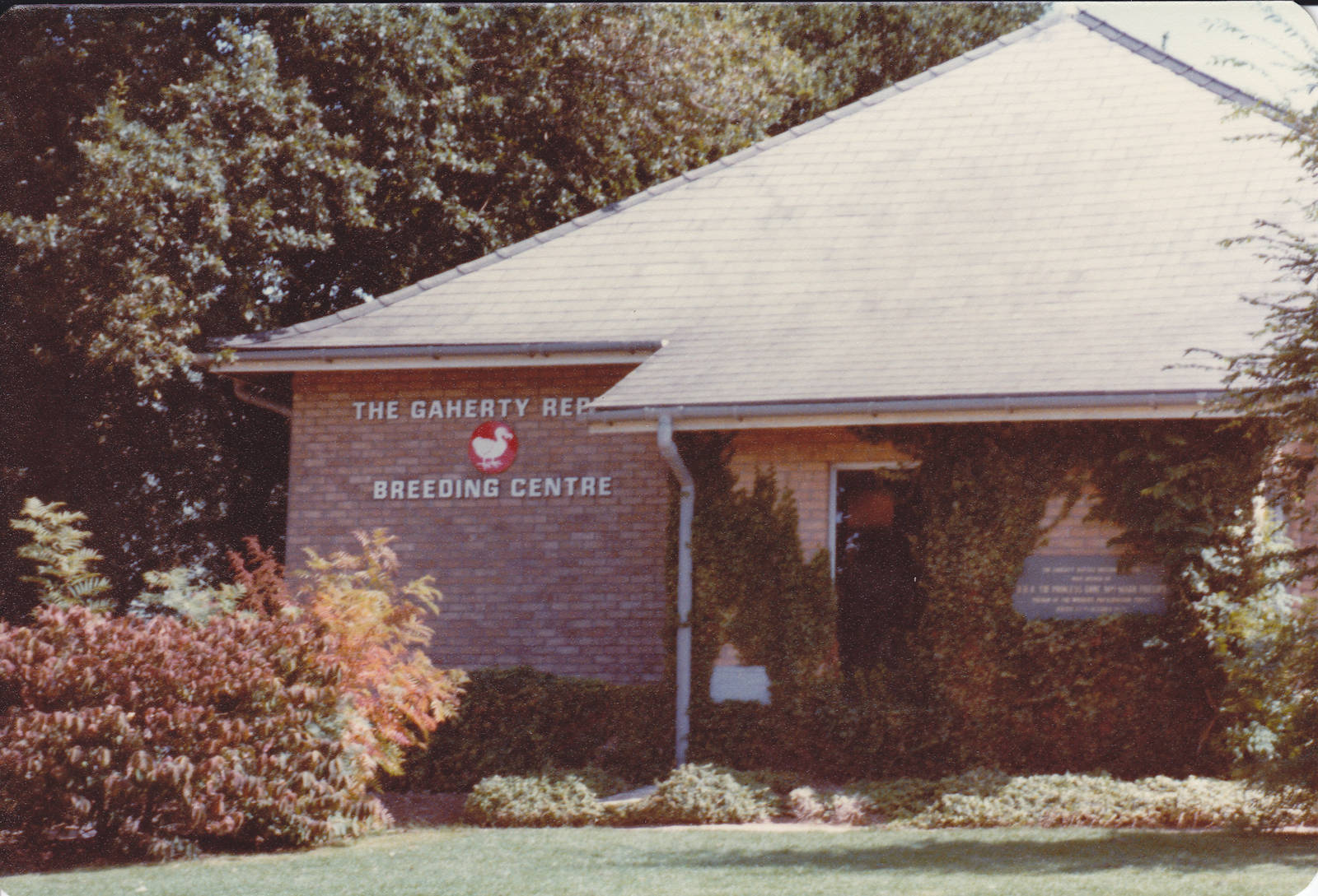 Gaherty Reptile Breeding Centre - 1982
