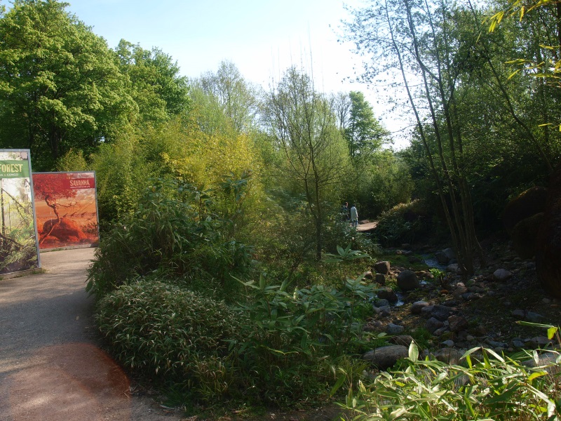 Gaia Valley (May 2nd, 2015)