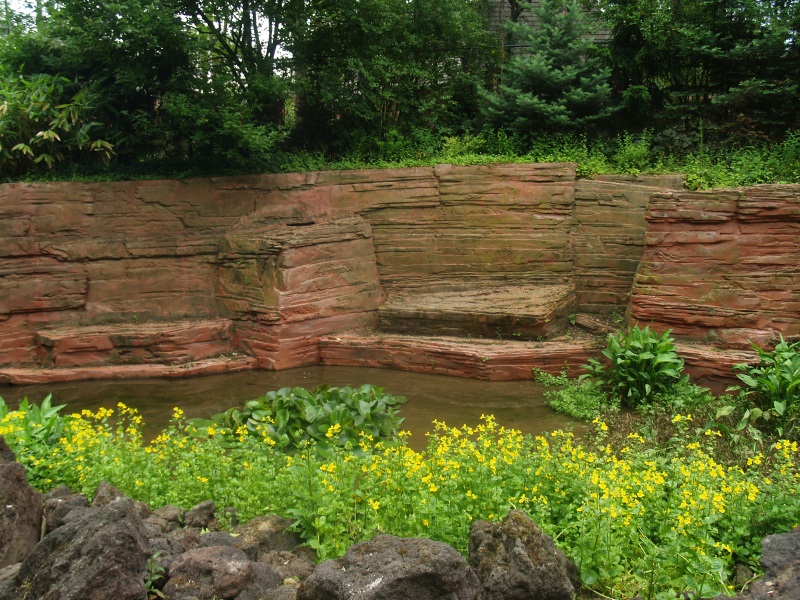 Gaia Valley (May 2nd, 2015)