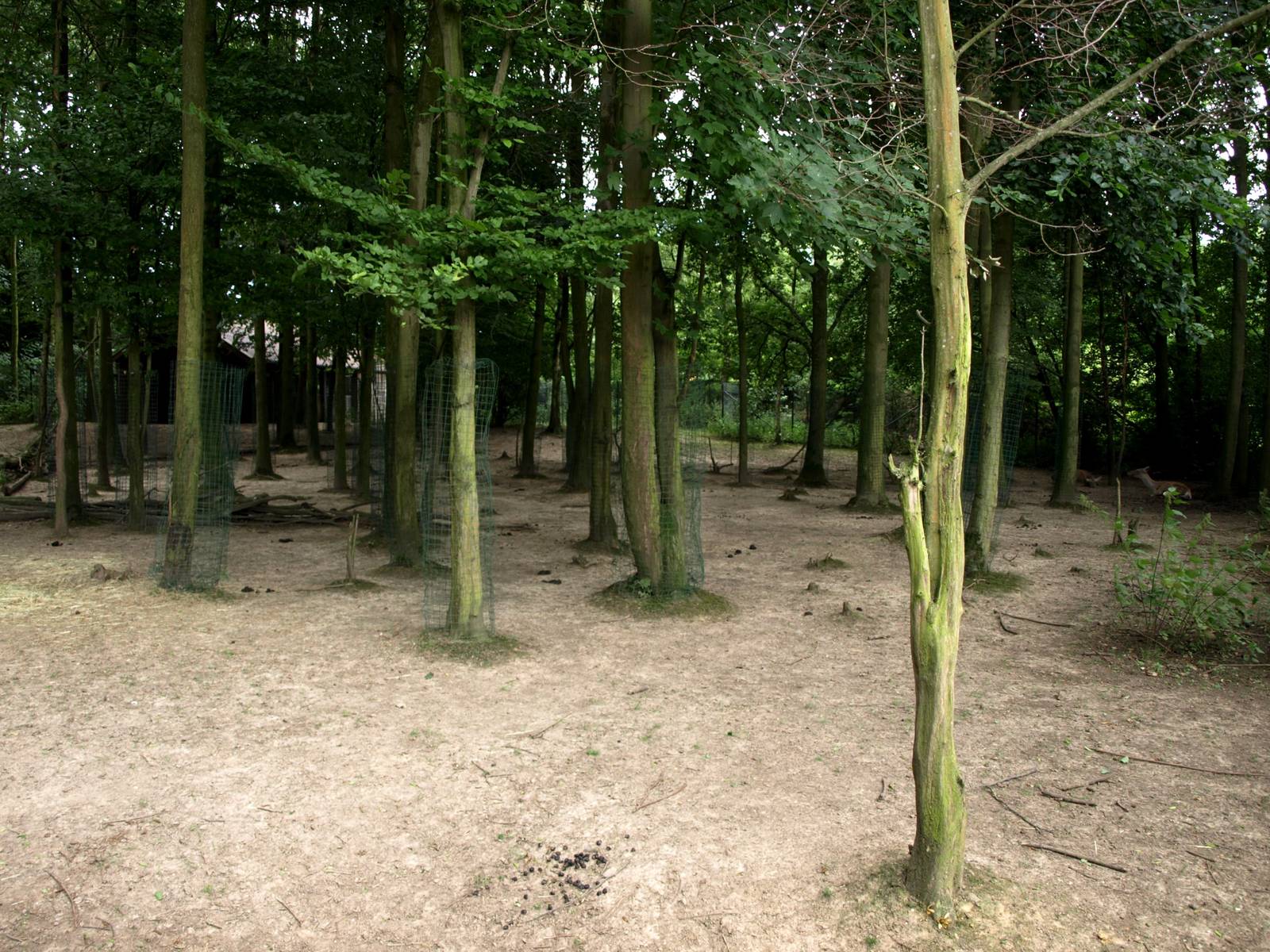 GaiaPark - Bactrian deer exhibit