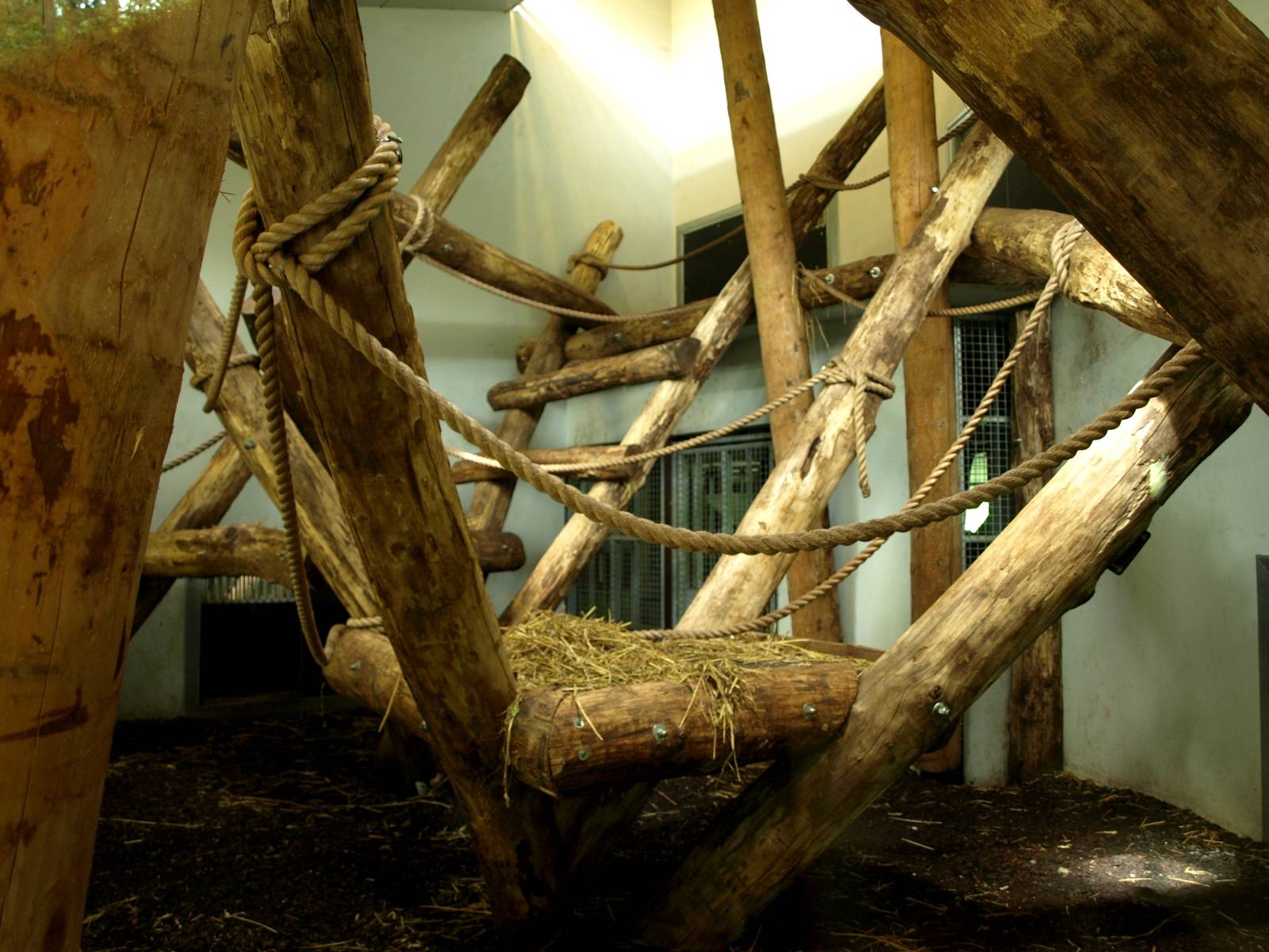 GaiaPark - Gorilla house