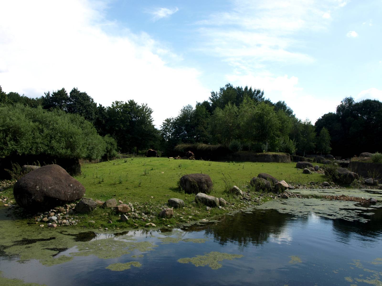 GaiaPark - Musk ox enclosure