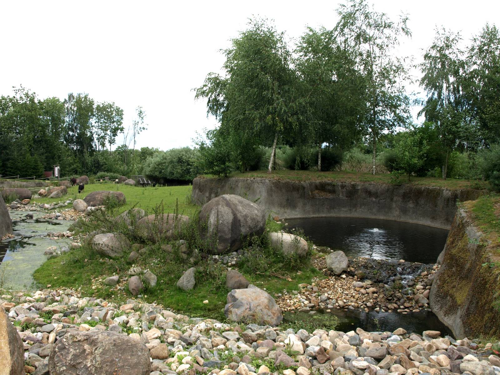GaiaPark - Musk ox enclosure