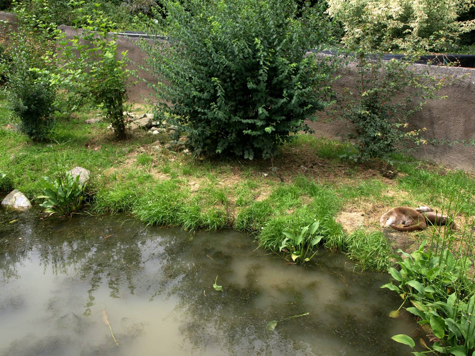 GaiaPark - Otter exhibit