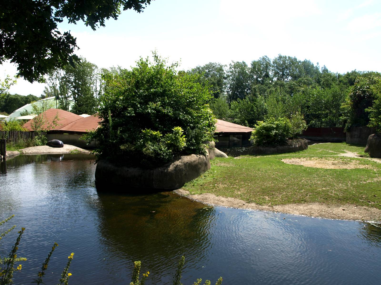 GaiaPark - Pygmy hippo exhibit