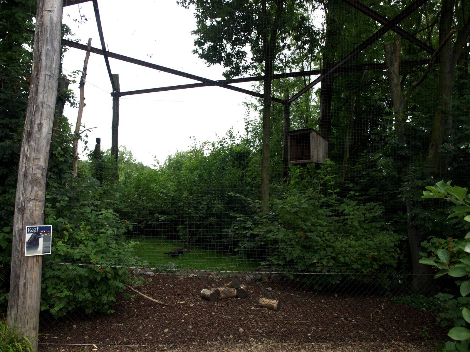 GaiaPark - Raven aviary