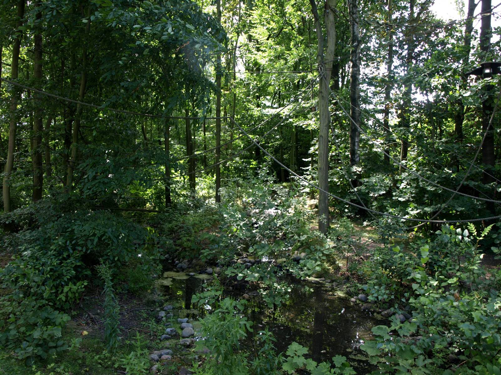 GaiaPark - Squirrel monkey island