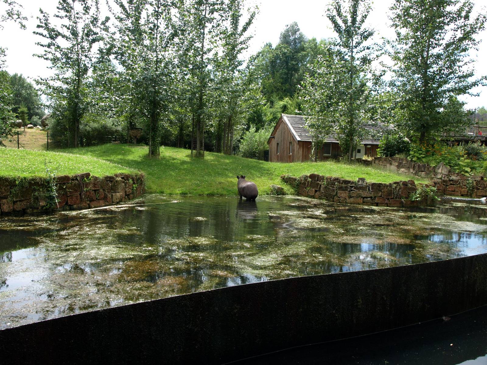 GaiaPark - Tapir exhibit