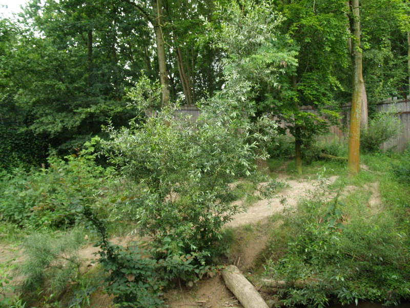 GaiaZoo History: Previous wolf enclosure (No longer there)