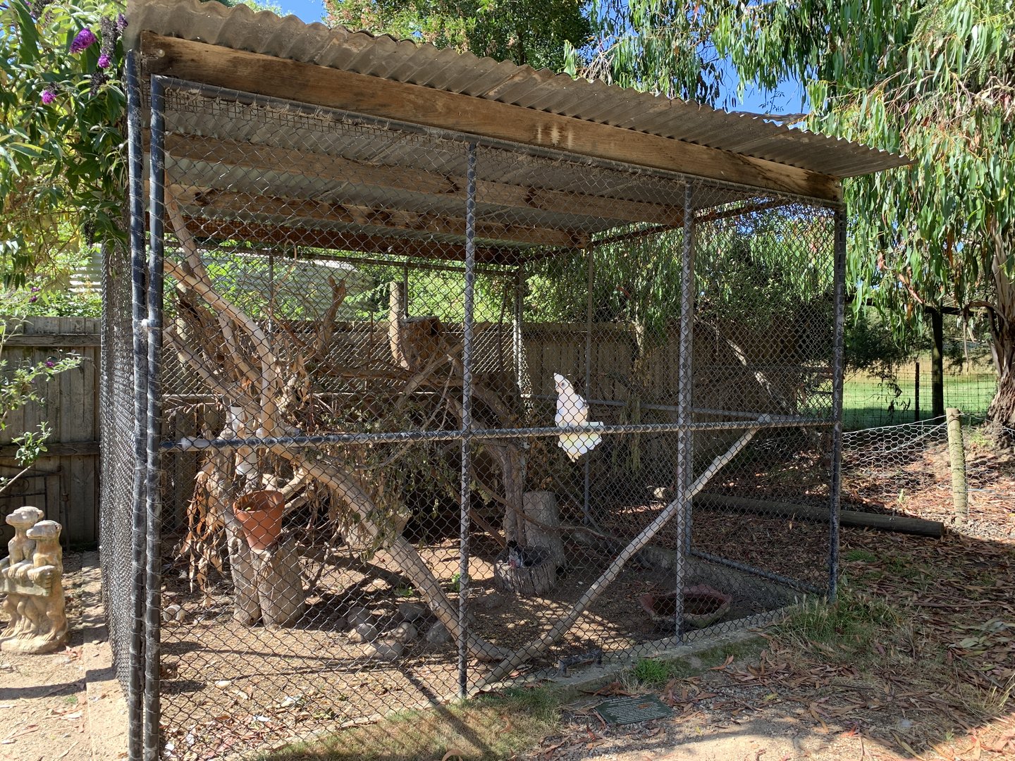 Galah and Corella Aviary